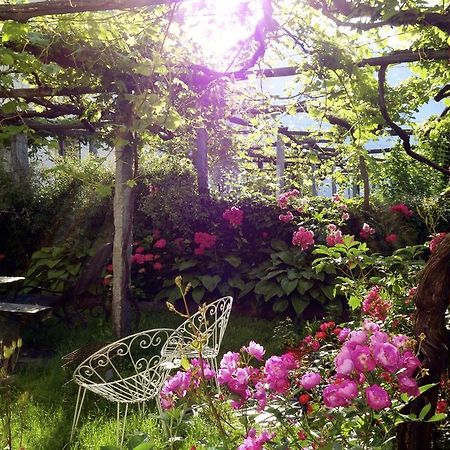Bed & Breakfast Uvablu Trontano Exterior foto