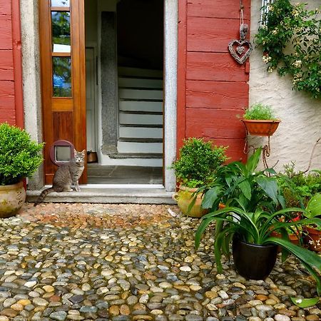 Bed & Breakfast Uvablu Trontano Exterior foto