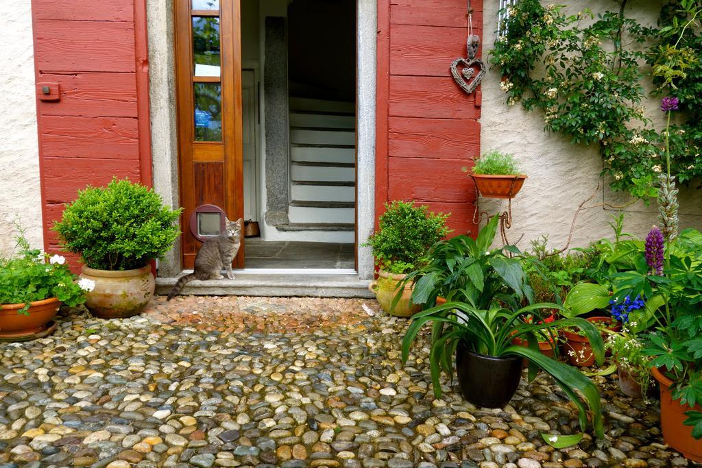 Bed & Breakfast Uvablu Trontano Exterior foto