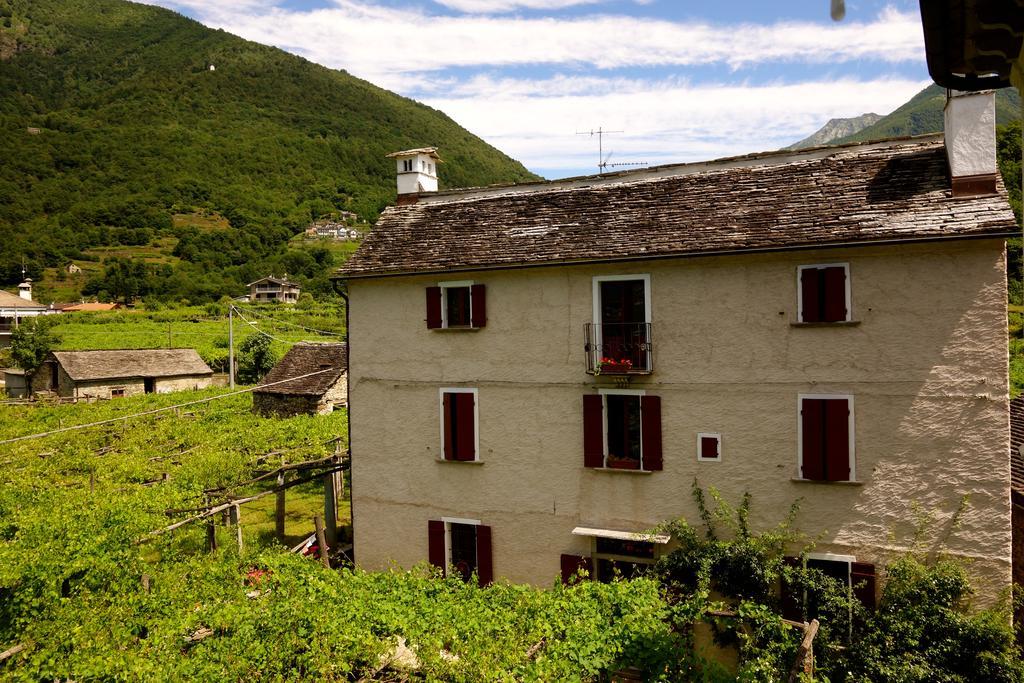 Bed & Breakfast Uvablu Trontano Exterior foto