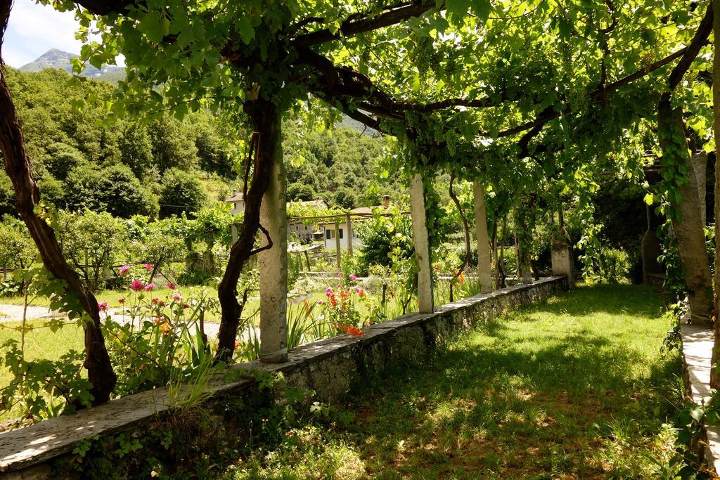 Bed & Breakfast Uvablu Trontano Exterior foto